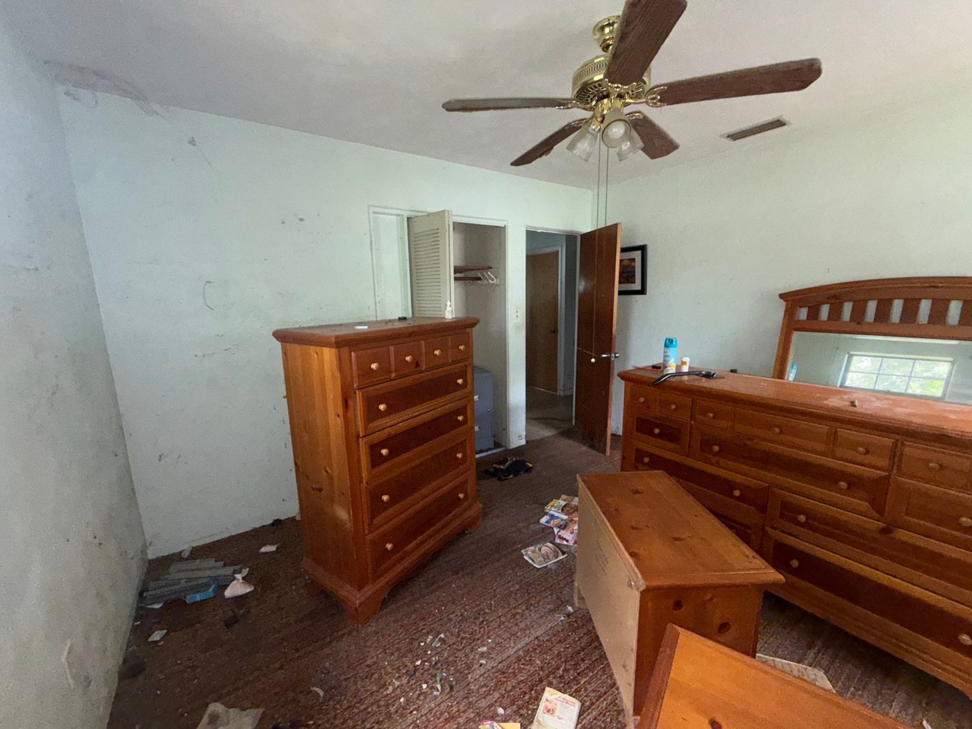 Polk County &middot; Lakeland photo 11