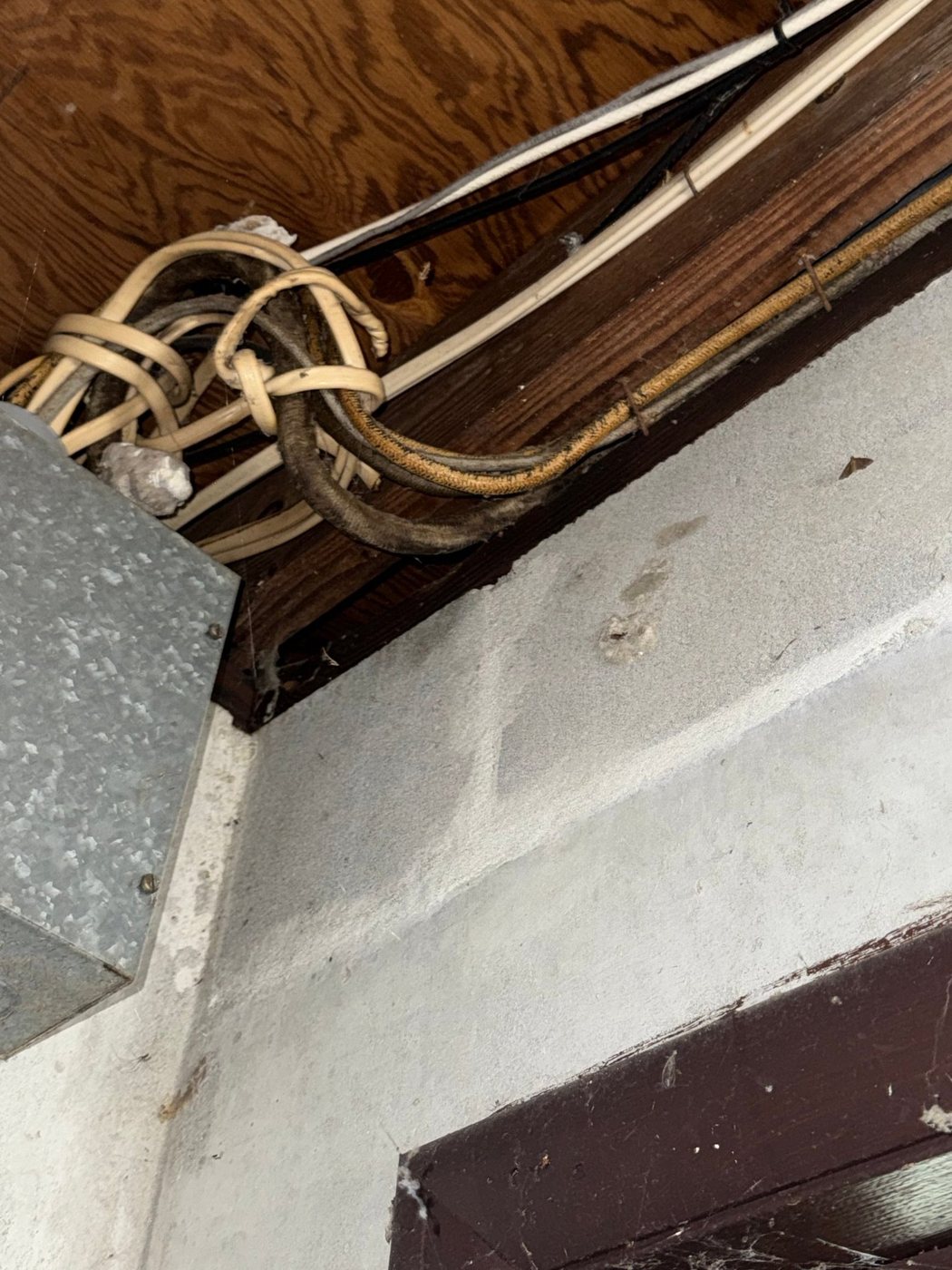 Polk County &middot; Lakeland photo 12