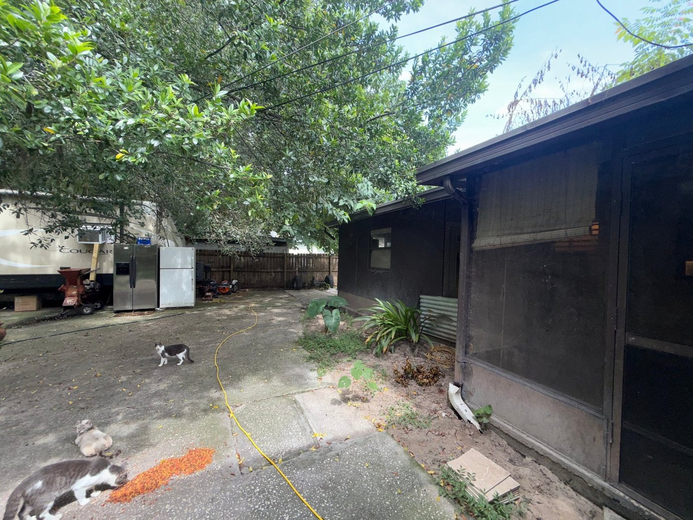 Polk County &middot; Lakeland photo 15