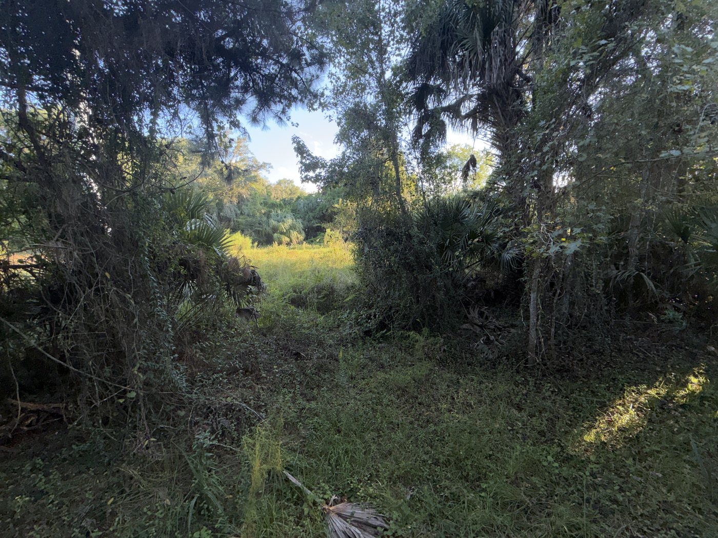 Seminole County &middot; Longwood (32779) photo 3