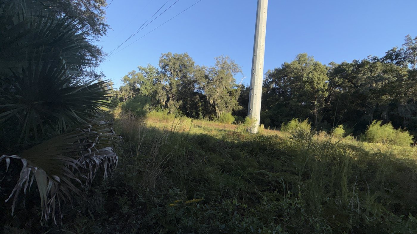 Seminole County &middot; Longwood (32779) photo 4