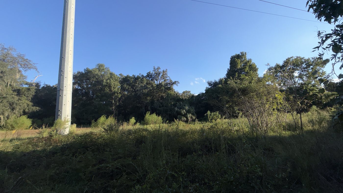 Seminole County &middot; Longwood (32779) photo 5