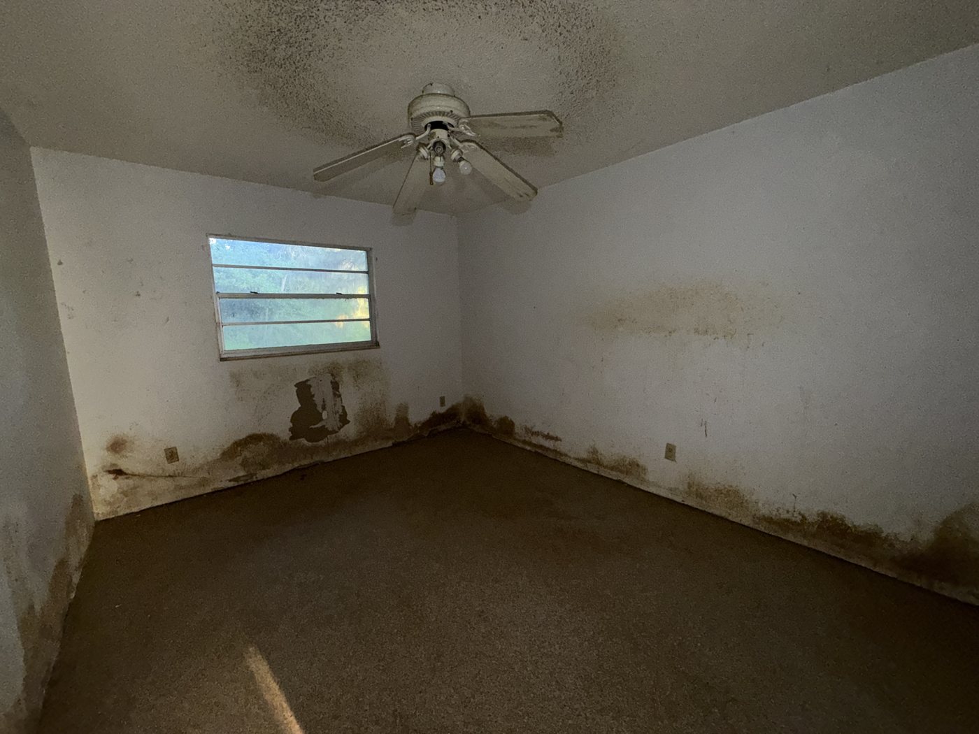 Seminole County &middot; Longwood (32779) photo 19