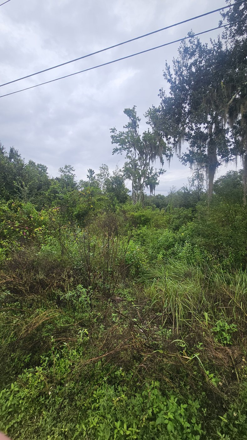 Osceola County &middot; 9.49 Acres photo 2